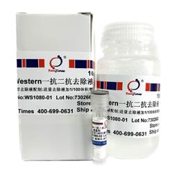 Western一抗二抗去除液（中性，劇烈型）