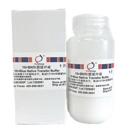 10×BN轉(zhuǎn)膜緩沖液