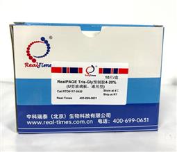 4-20%RealPAGE Tris-Glycine預(yù)制膠 通用型 玻璃板