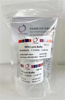 RIPA裂解液(強，不含抑制劑，不含螯合劑)