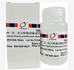 Western一抗二抗去除液（弱堿，溫和型）