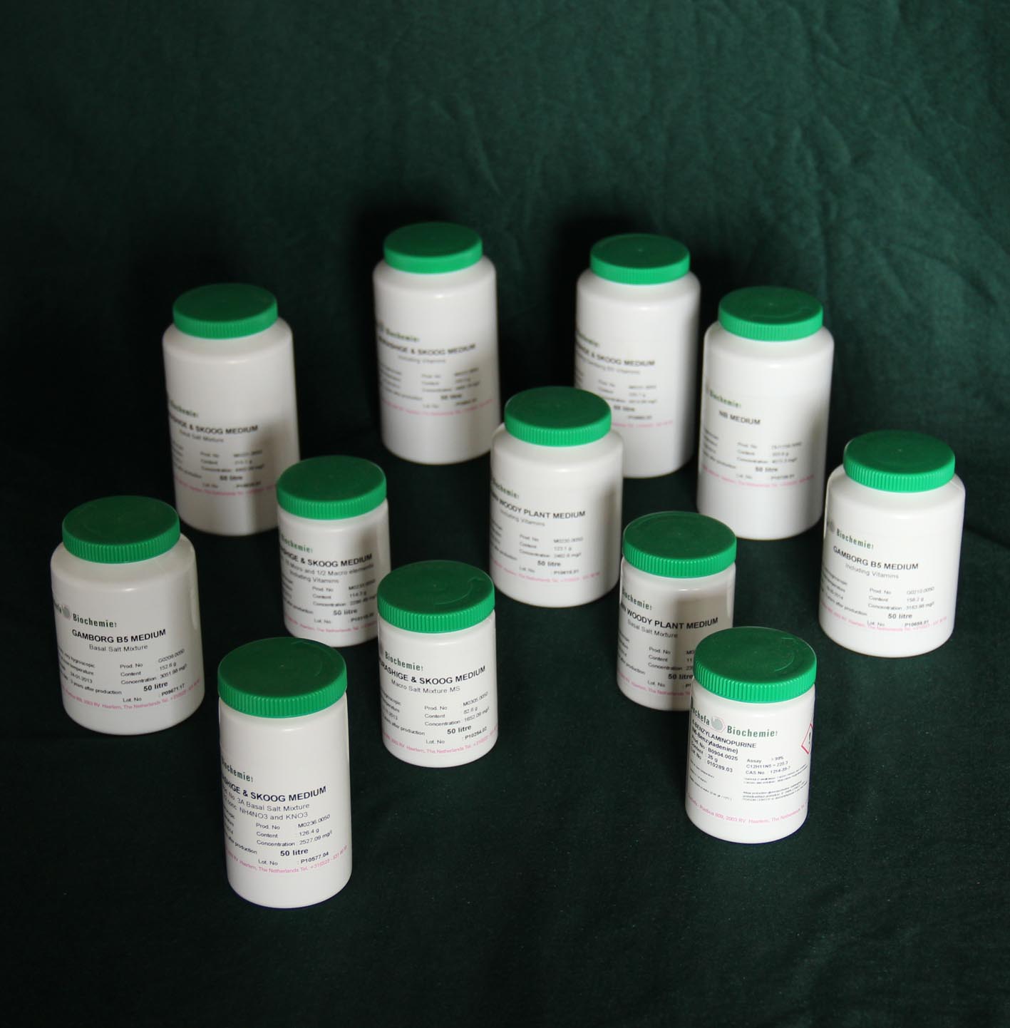 DKW/Juglans Medium DKW培養(yǎng)基不含維生素